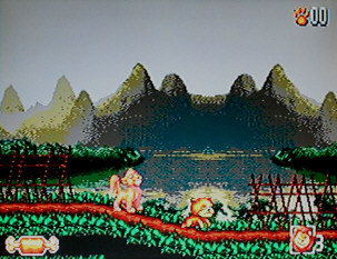 ライオンキング２ Lion King 2 for Mega Drive (MD)